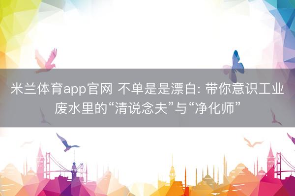 米兰体育app官网 不单是是漂白: 带你意识工业废水里的“清说念夫”与“净化师”